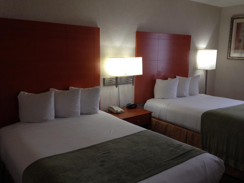 Best Western Jfk Airport New York Eksteriør billede